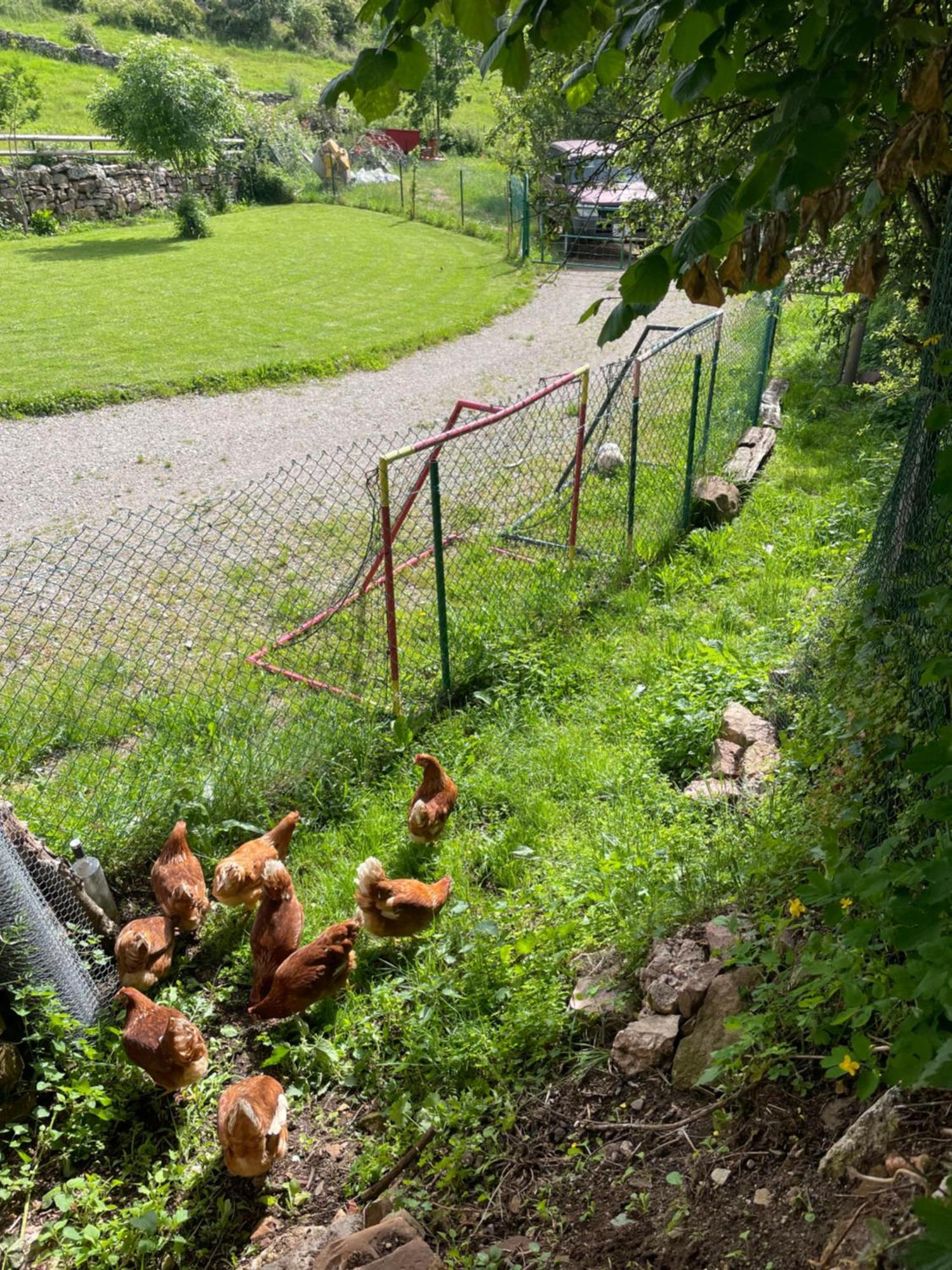 Los Chozos de la Braña Branosera Exterior foto